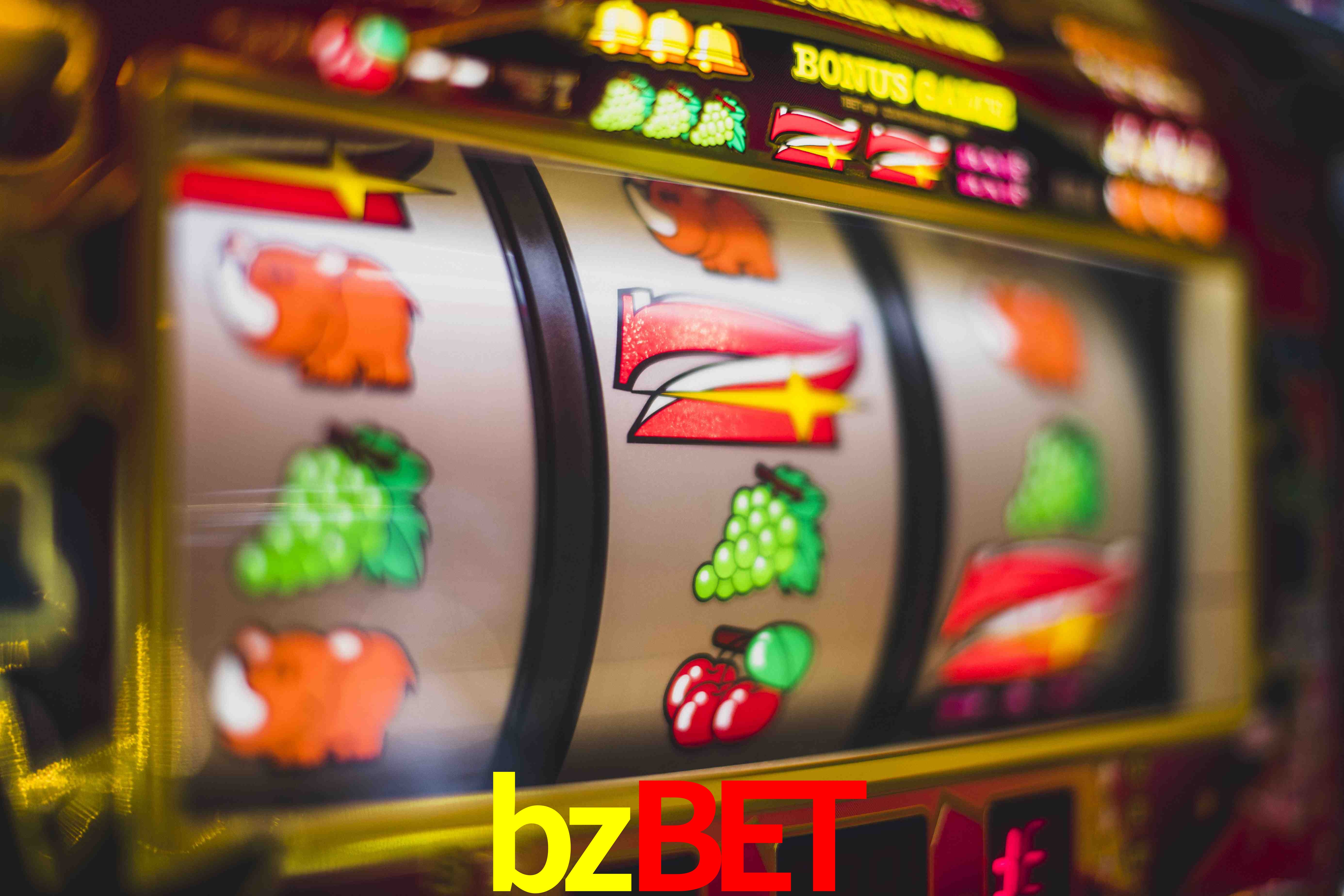 VIP Casino bzbet